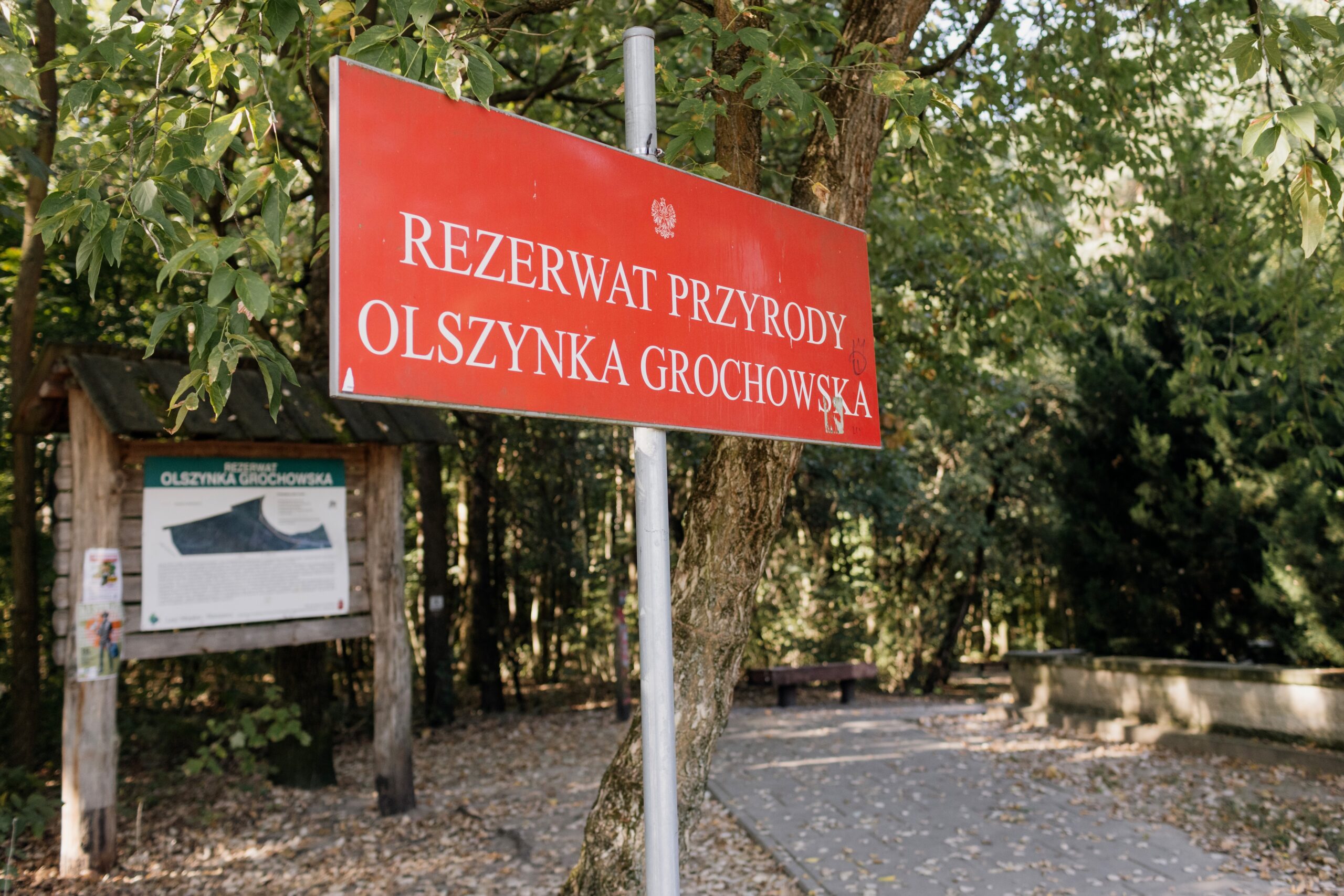 Osoba badająca poszukiwana