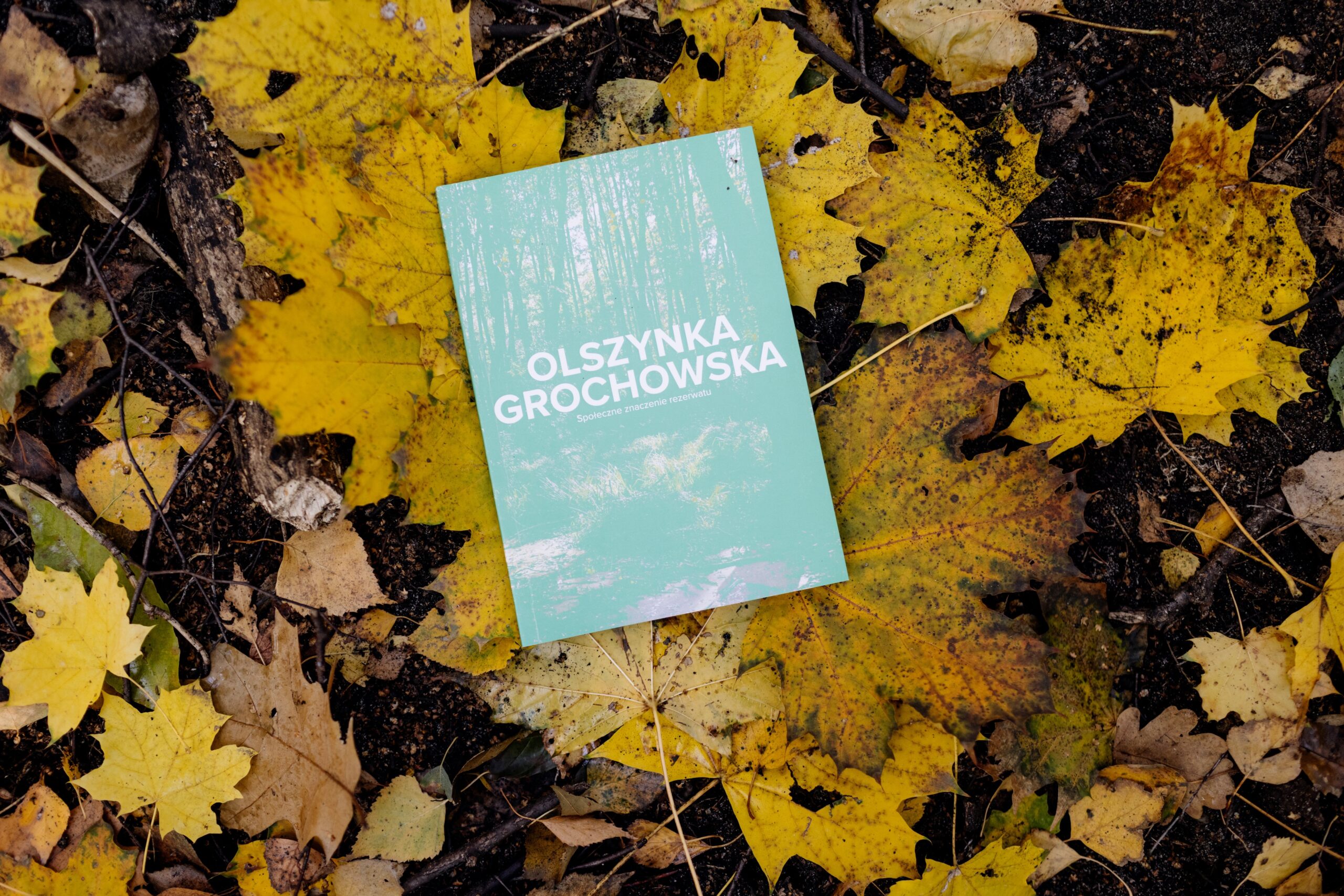 Raport badawczy „Olszynka Grochowska. Społeczne znaczenie rezerwatu”