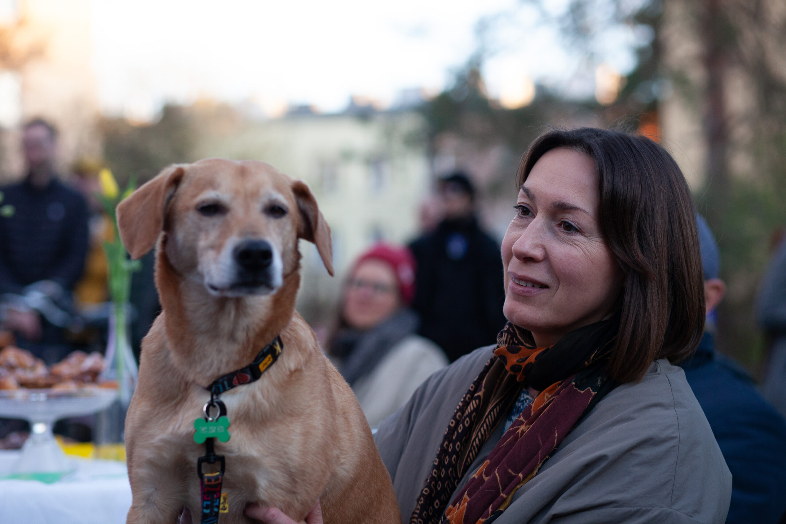 Nowe Dynasy. Były, są, będą? Wystawa poświęcona walce o wspólne miasto
